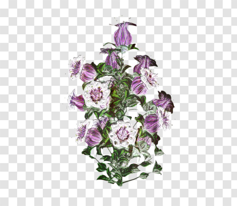 Floral Flower Background - Bellflower Family - Anthurium Bouquet Transparent PNG