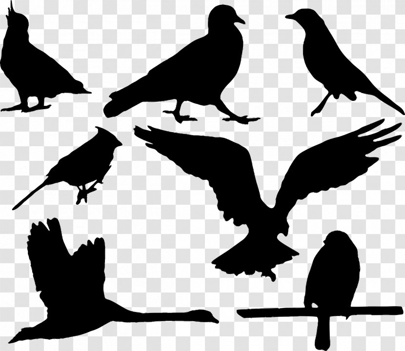 Silhouette Eagle - Monochrome - Flock Of Birds Transparent PNG