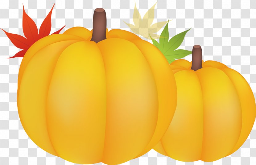 Great Pumpkin Calabaza Gourd Winter Squash - Natural Foods - Autumn Life Icon Transparent PNG