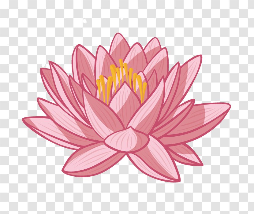 Nelumbo Nucifera Cartoon - Flora - Plants Flowers Transparent PNG