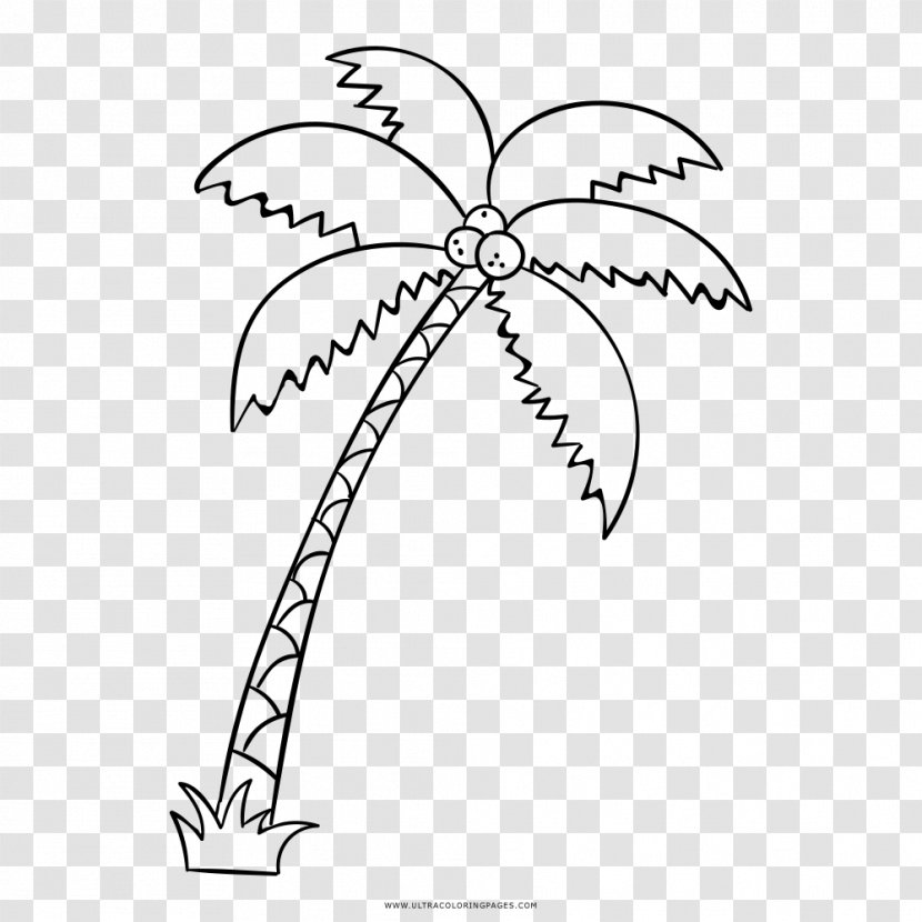 Really Big Coloring Books Drawing Arecaceae - Artwork - Palm Trees Transparent PNG