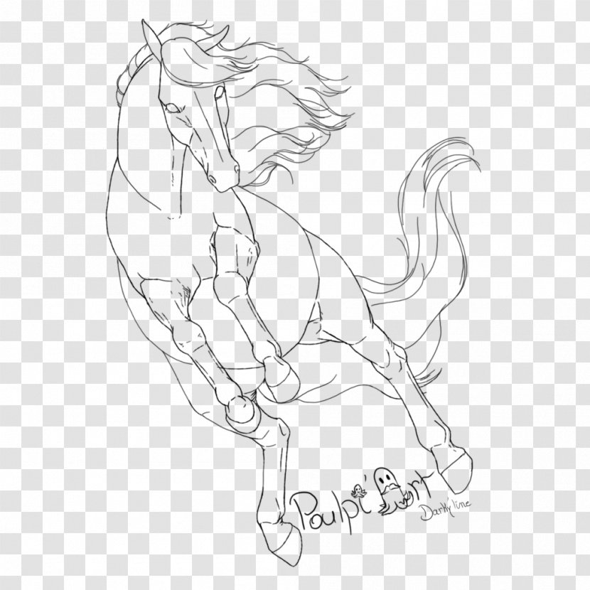 Mustang Art Figure Drawing Sketch - Halter - Lineart Transparent PNG