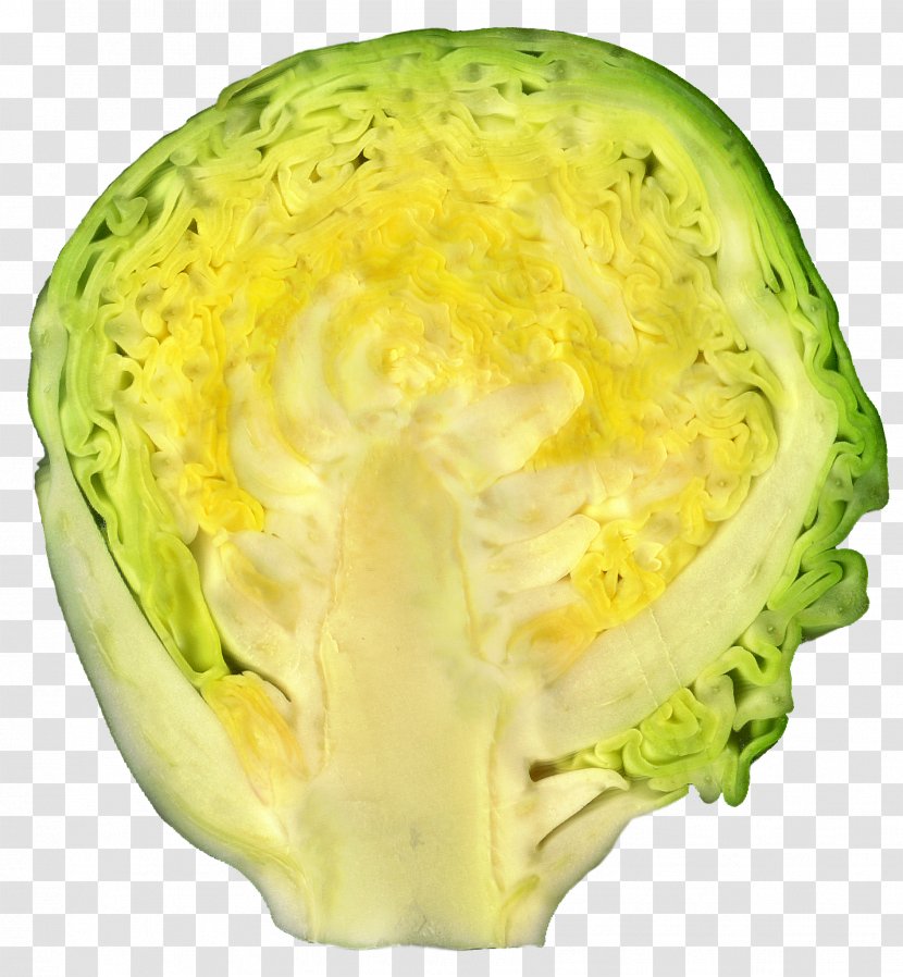 Brussels Sprout Leaf Vegetable Cabbage Food - Variety - Brocoli Transparent PNG