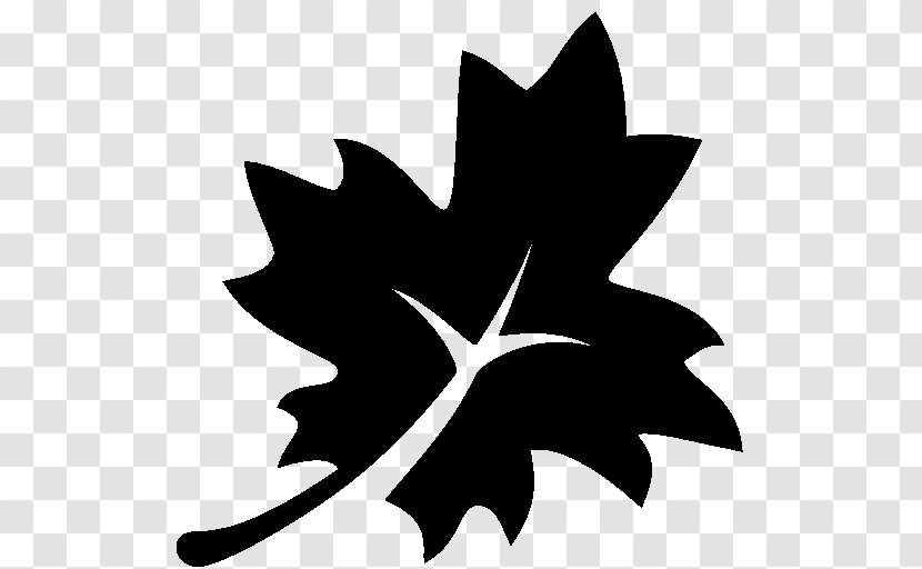 Red Maple Autumn Leaf - Black And White Transparent PNG