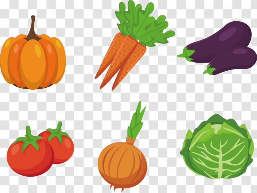 Vegetable Drawing Clip Art - Gourd - Vector Material Transparent PNG