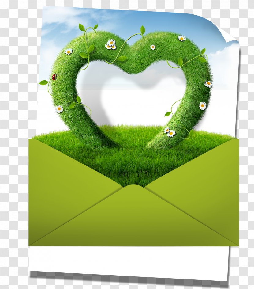 Green Download Plant Clip Art - Information - Envelopes In Grass And Blue Sky Transparent PNG