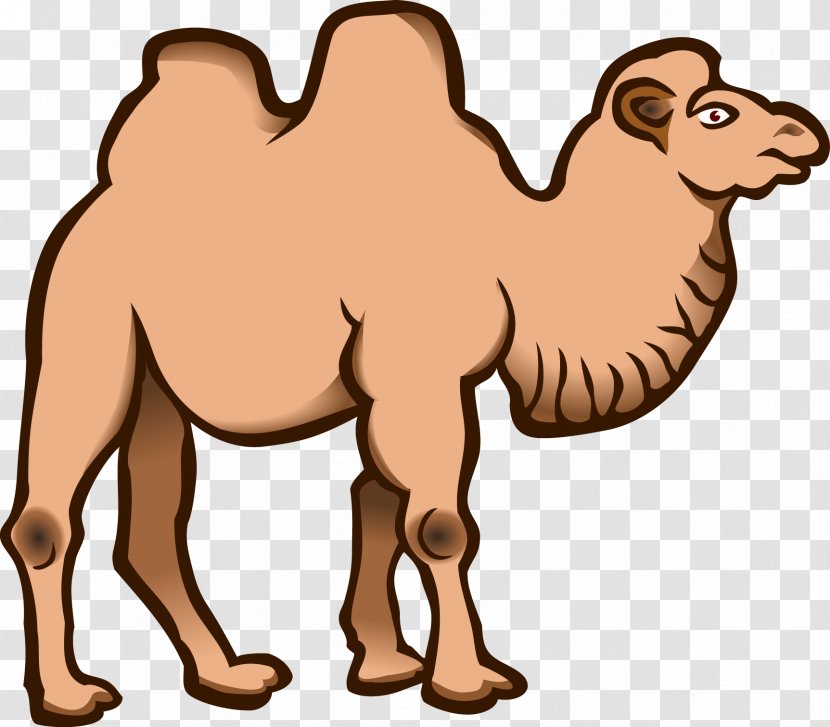 Wild Bactrian Camel Clip Art - Silhouette - Vector Transparent PNG