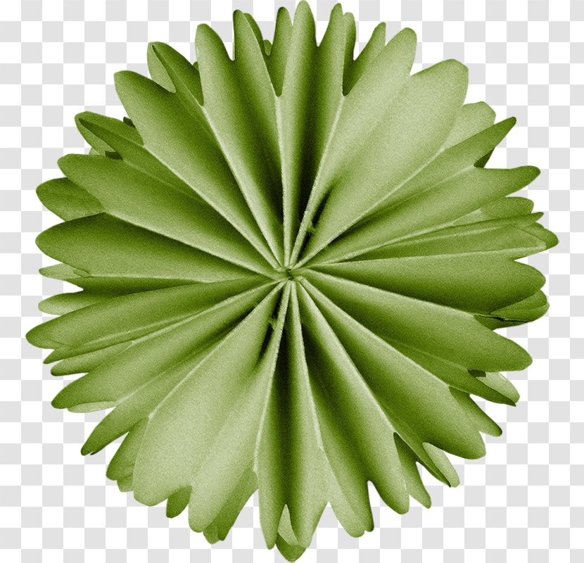 Circular Saw Paper Millimeter Robert Bosch GmbH - Stop Block - Green Flowers Transparent PNG