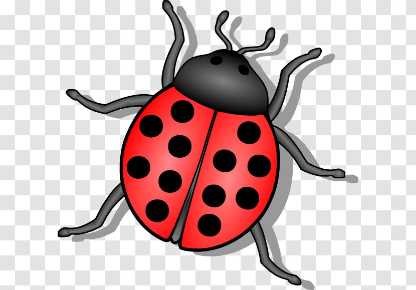 Beetle Ladybird Drawing Clip Art - Free Content - Cliparts Transparent PNG