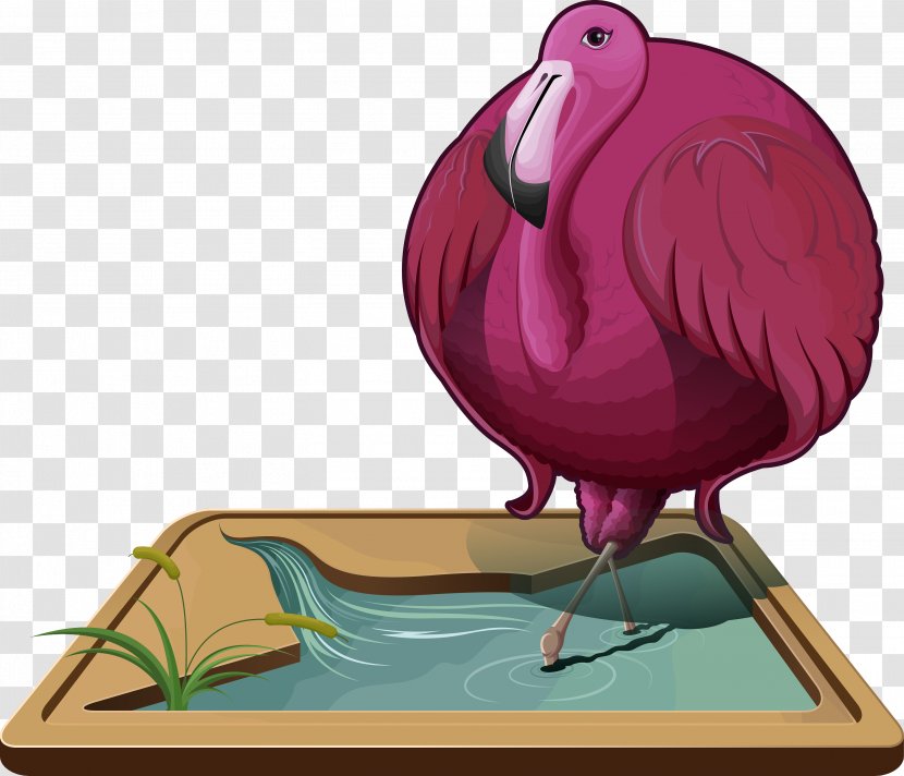 Chicken Illustration Bird Beak Cartoon - Organism - Circular Transparent PNG