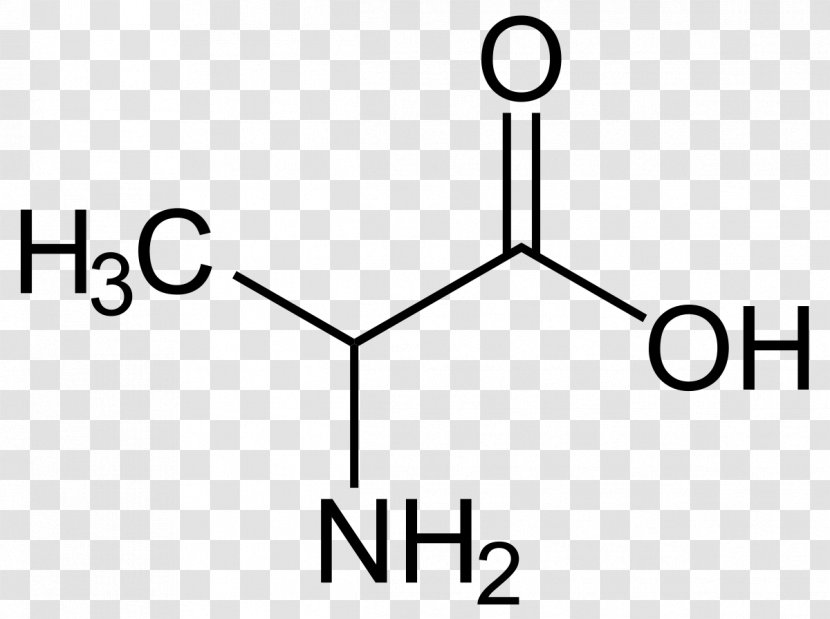 Alanine Proteinogenic Amino Acid Side Chain Valine - Beta Transparent PNG