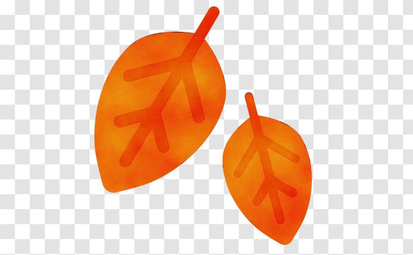 Fruit Cartoon - Yellow Orange Transparent PNG