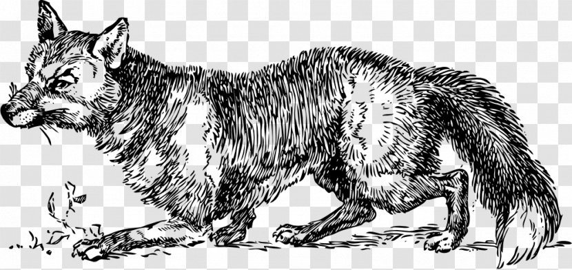 Red Fox Arctic Hunting Clip Art - Vertebrate - Sketch Transparent PNG