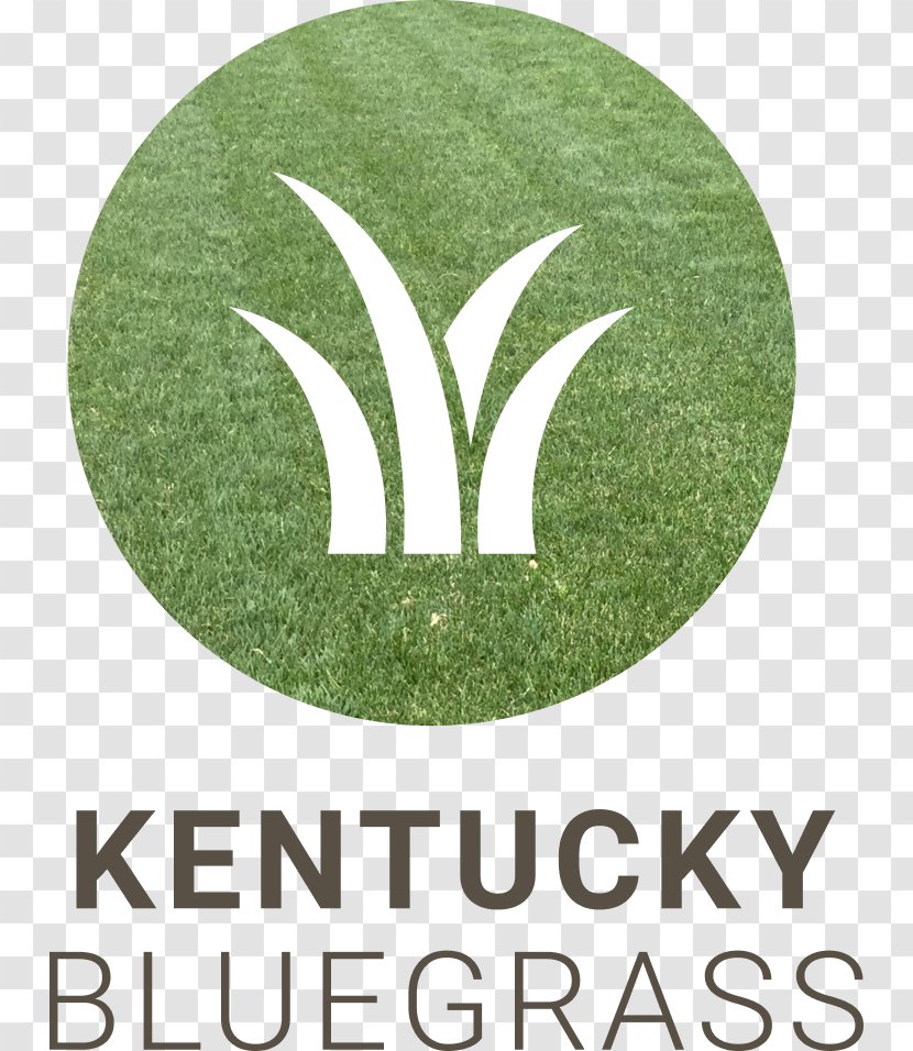 Logo Grasses Green Brand Font - Bluegrass Transparent PNG