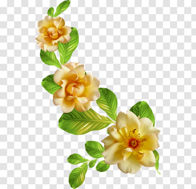 Desktop Wallpaper Download Clip Art - Flowering Plant - Depositfiles Transparent PNG