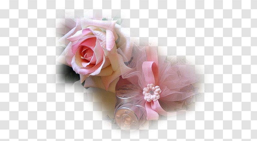 Rose Blog Painter Love - Family - Of Sharon Transparent PNG