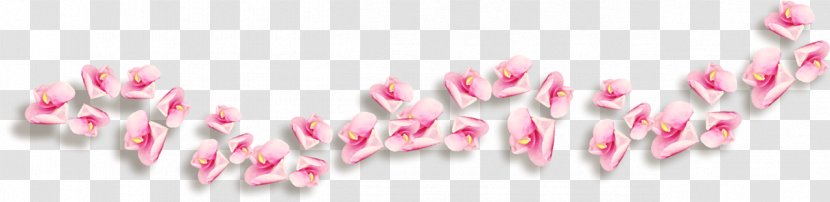 Flower Picture Frames Clip Art - Bracket - Pink Petals Flying Transparent PNG