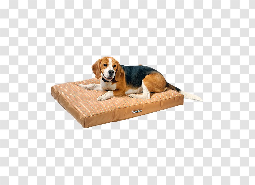 Dog Breed Crate Bed Companion Transparent PNG