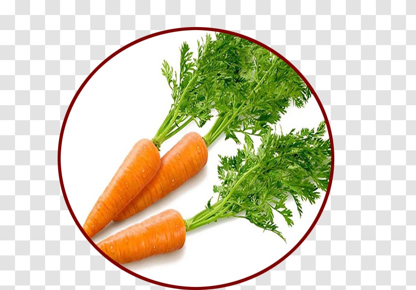Carrot Vegetable Beta-Carotene Food - Leaf Transparent PNG