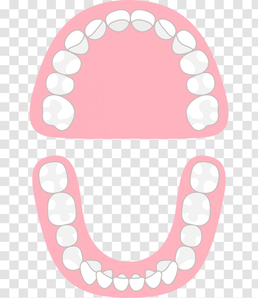 Tooth Mouthguard Jaw Temporomandibular Joint Dysfunction - Frame - Parachute 0 2 1 Transparent PNG