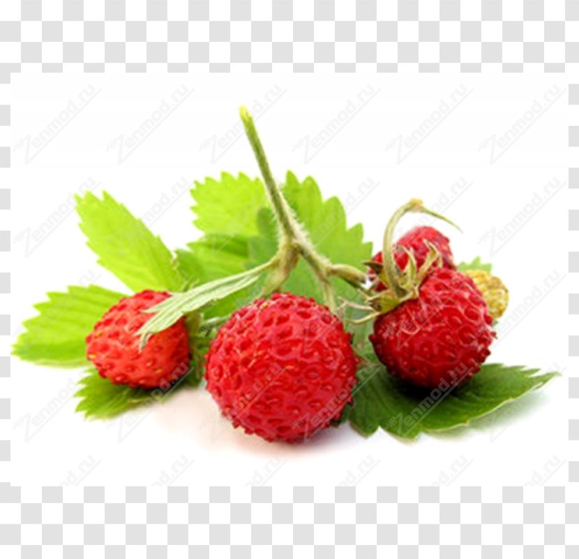 Wild Strawberry Varenye Musk - Berry Transparent PNG
