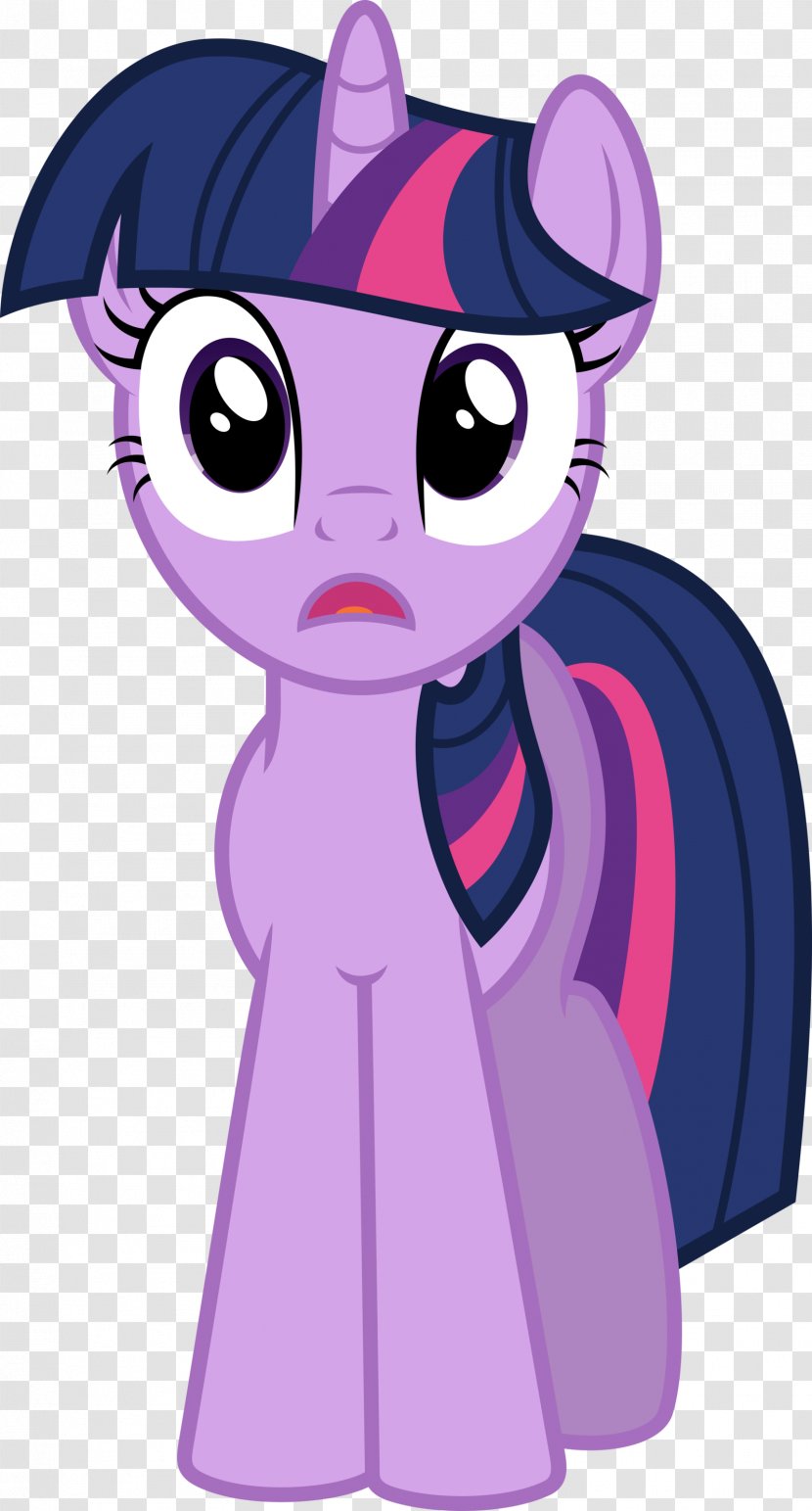 Twilight Sparkle Pinkie Pie Rarity Rainbow Dash Drawing - Flower - My Little Pony Transparent PNG