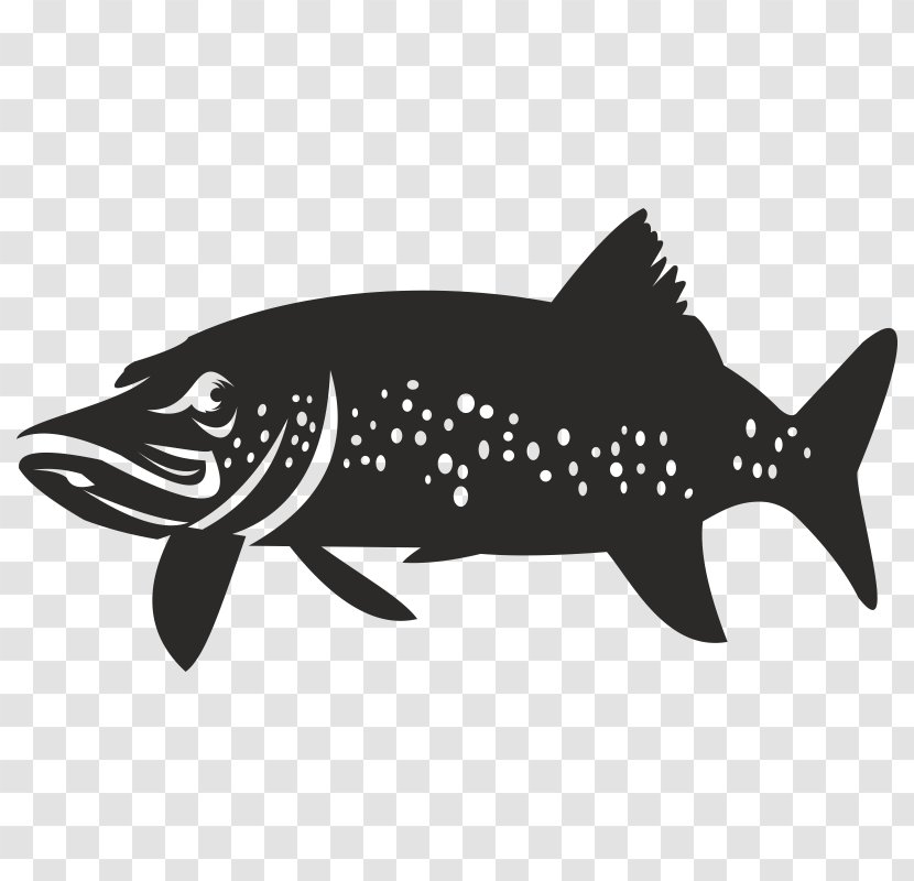 Shark Black Carnivores Mammal Fauna - Fish Transparent PNG