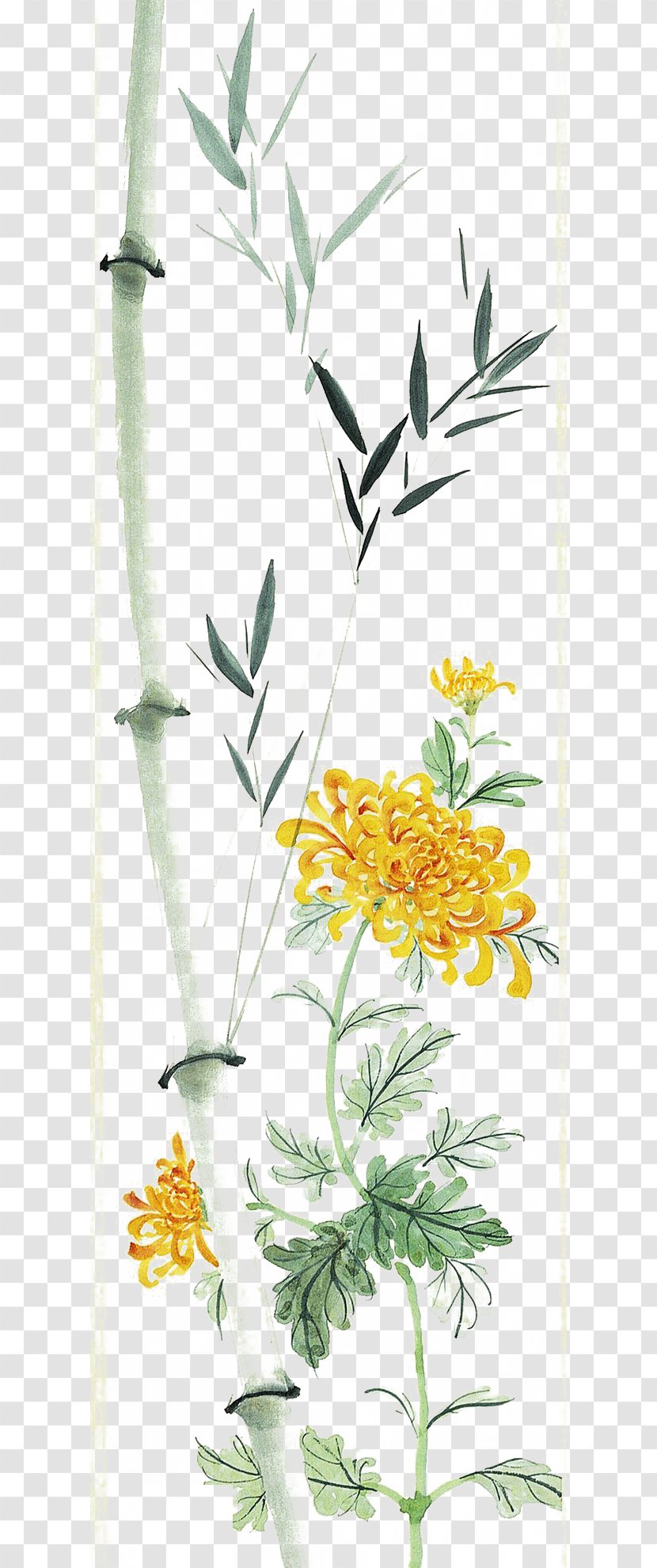 Chrysanthemum Bamboo Chinese Painting Leaf - Plant Stem - Leaves And Chrysanthemums Transparent PNG