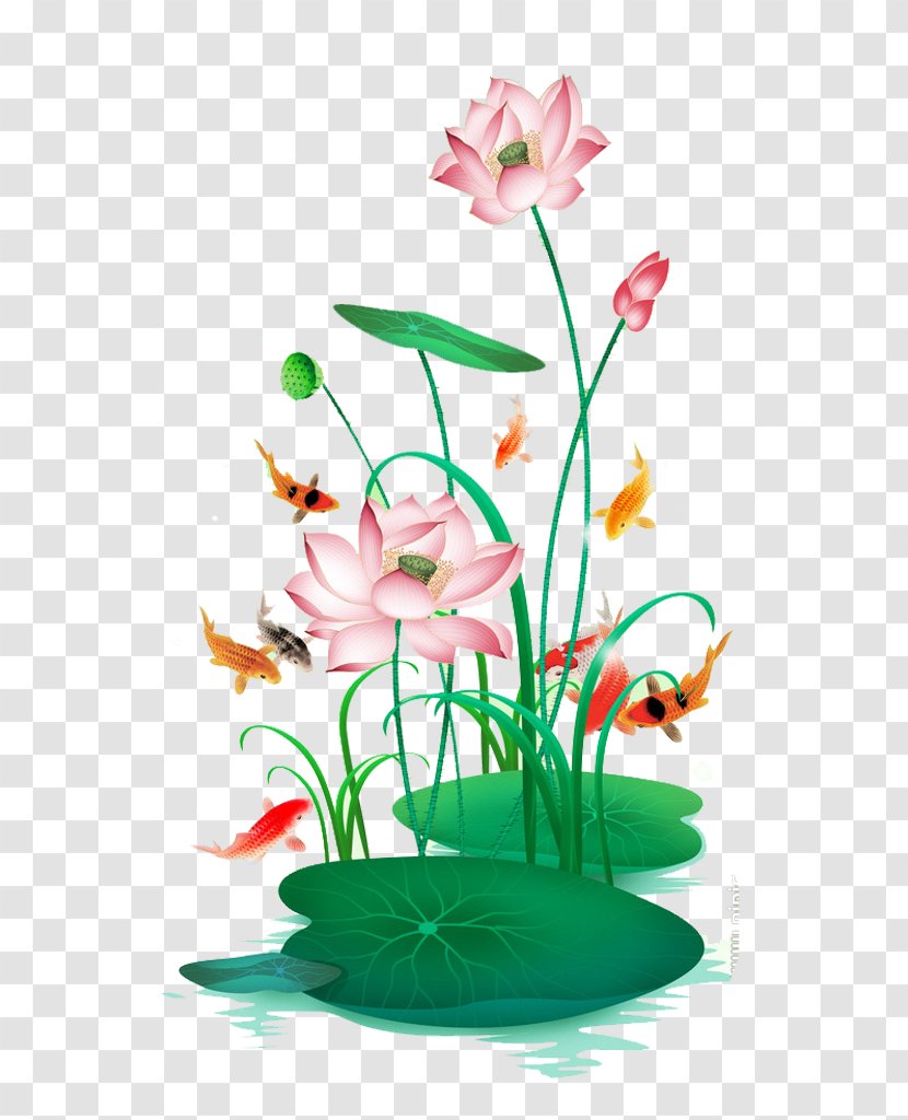 Nelumbo Nucifera Floral Design Download - Petal - Beautiful Hand-painted Lotus Transparent PNG