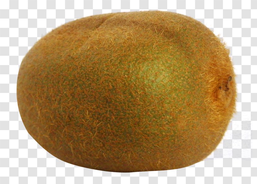 Clip Art Image Kiwifruit JPEG - Food Transparent PNG