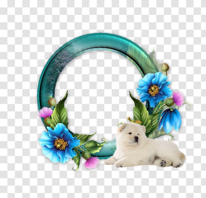 Chow Turquoise Body Jewellery Animal - Flower Transparent PNG