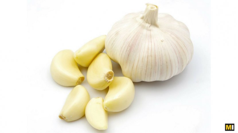 Garlic Onion Chicken Soup Calabaza Allium Chinense - Herb Transparent PNG