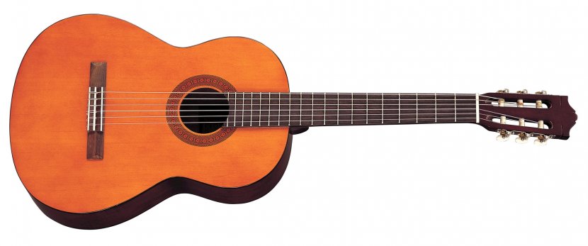 Yamaha C40 Classical Guitar Corporation Musical Instruments - Frame - Electric Transparent PNG