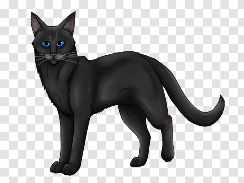 Into The Wild Midnight Cat Warriors Firestar Transparent PNG