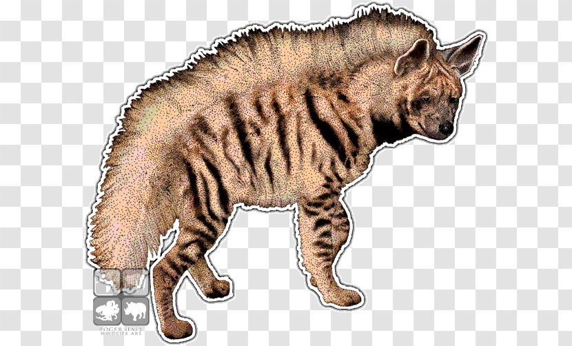 Africa Striped Hyena Cat Brown - Fauna Transparent PNG