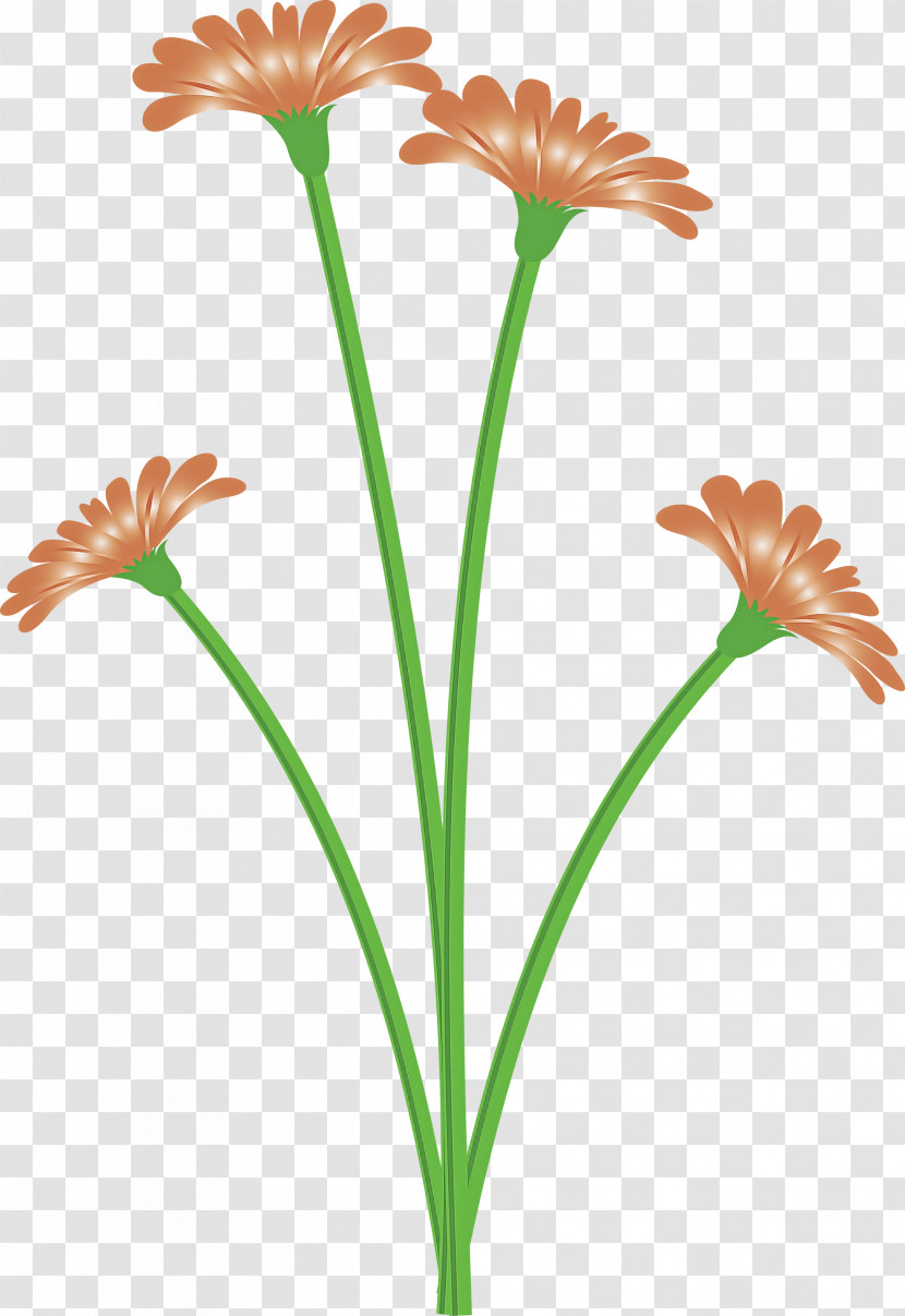 Dandelion Flower Transparent PNG