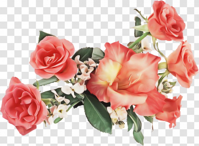 Garden Roses - Cut Flowers - Rose Family Transparent PNG