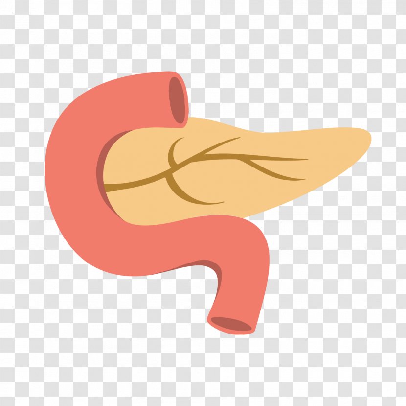 Cartoon Clip Art - Flower - Pancreas Transparent PNG
