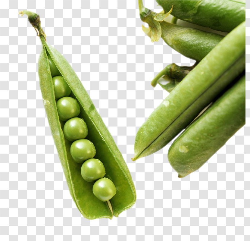 Green Bean Vegetable Food Common - Shrimp Paste - Pea Transparent PNG