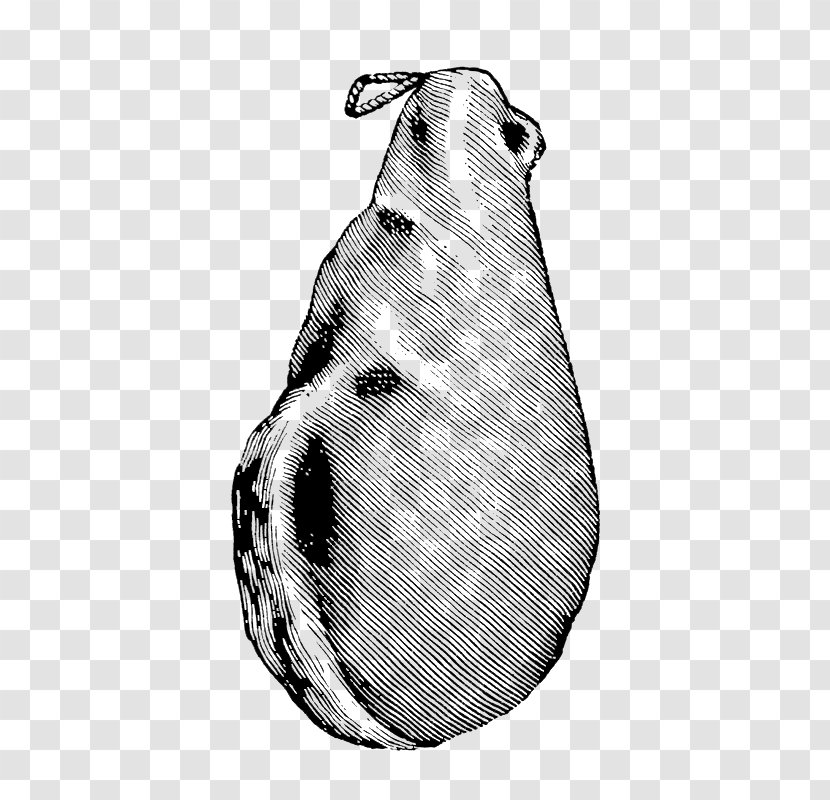 Vegetable Cartoon - Soybean - Fruit Blackandwhite Transparent PNG