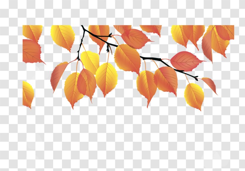 Autumn Leaf Color Yellow - Orange Transparent PNG