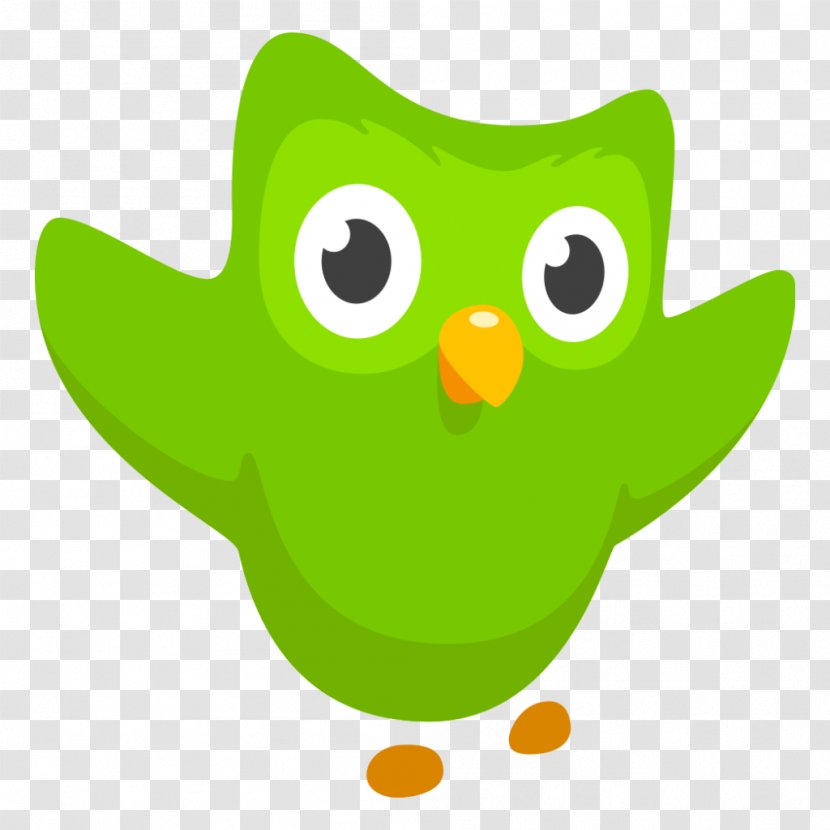 Duolingo Learning Language Education Acquisition - LEARNING Transparent PNG