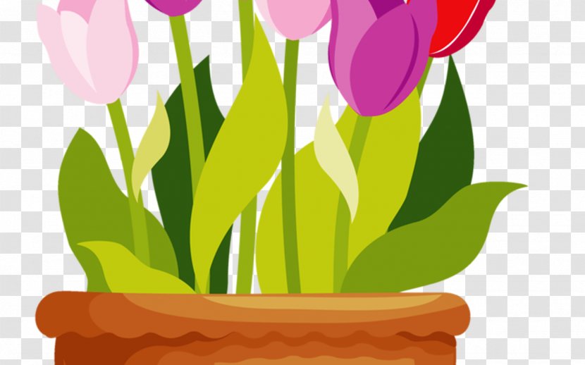 Flower Pot Drawing - Tulip - Houseplant Wildflower Transparent PNG