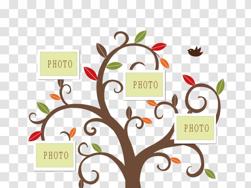 Designer Graphic Design - Brand - Smile Wall Tree Transparent PNG