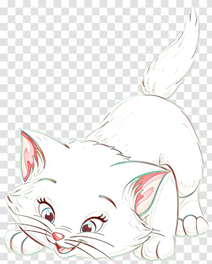 Cat White Small To Medium-sized Cats Whiskers Head - Snout Tail Transparent PNG