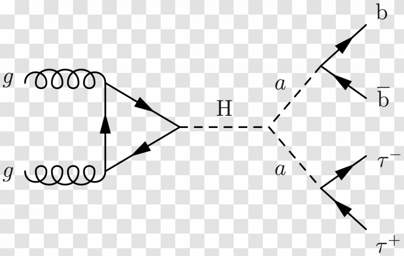 Feynman Diagram Gamma-glutamyl Hydrolase (conjugase, Folylpolygammaglutamyl Hydrolase) Triangle Propagator - Higgs Boson Transparent PNG