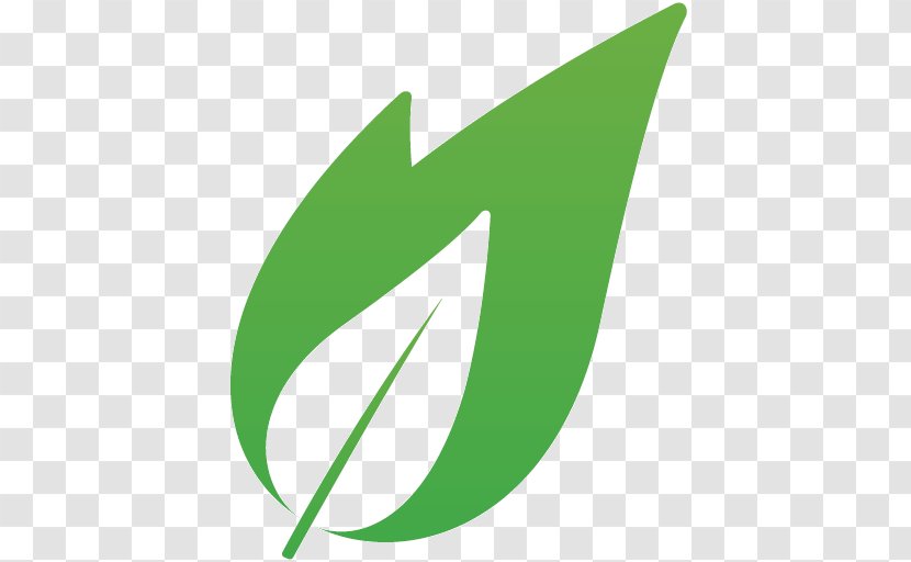 Logo Line Angle Leaf Font - Plant Transparent PNG