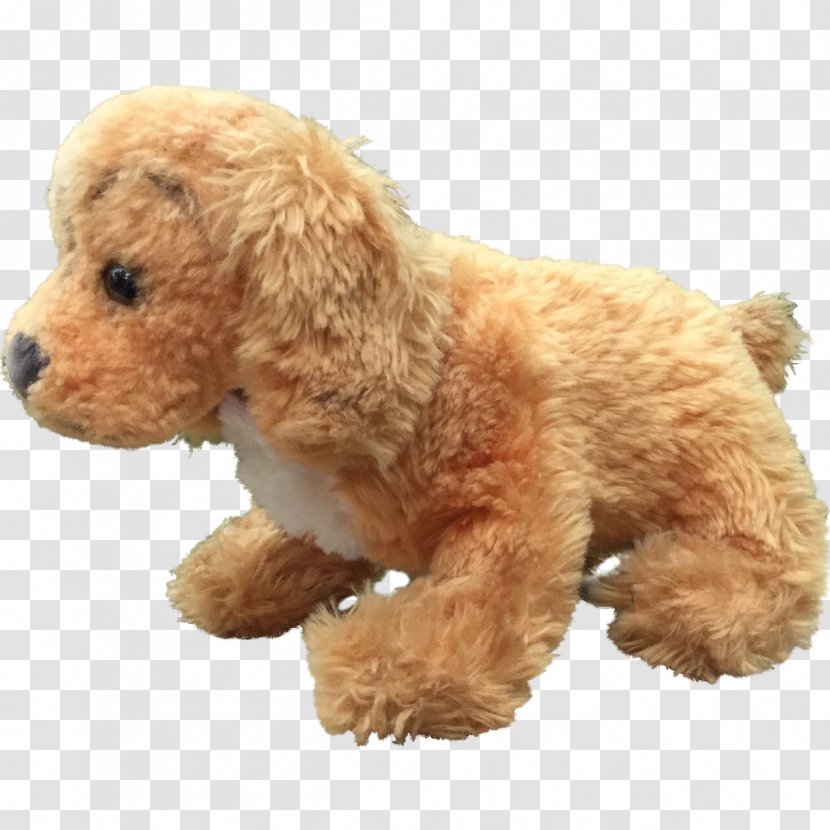 Miniature Poodle Toy Spanish Water Dog Standard - Cocker Transparent PNG