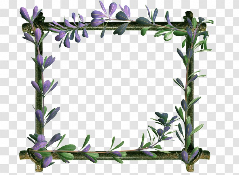 Floral Design Picture Frames Rectangle 8 March - Flower Transparent PNG