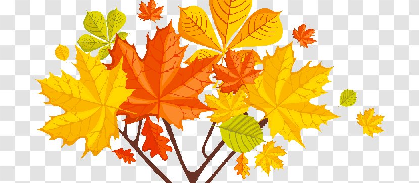 Autumn Image Desktop Wallpaper Floral Design Clip Art - Otontildeo Banner Transparent PNG